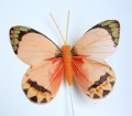 207760 Veren vlinder oranje